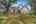 Blurred preview of media: 1309 Hideaway Drive S-13