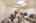 Blurred preview of media: IMG_8494 copy 2