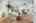 Blurred preview of media: 1-18