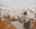Blurred preview of media: 850_0715-enhanced-1787778039158