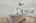Blurred preview of media: 056_DSC05870