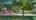 Blurred preview of media: IMG_9993