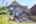 Blurred preview of media: k2