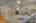 Blurred preview of media: 12