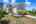 Blurred preview of media: a (1)