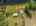 Blurred preview of media: 817 Brill Road Aerial LRCF-2