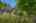 Blurred preview of media: 02
