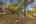 Blurred preview of media: IMG_0356.1