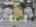 Blurred preview of media: propertyline