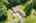 Blurred preview of media: 136 Fairbanks Street West Boylston Massachusetts Job 39378 0051