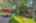 Blurred preview of media: 24