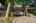Blurred preview of media: 002