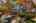 Blurred preview of media: 1-28