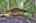 Blurred preview of media: IMG_2119_20_21_easyHDR