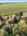 Blurred preview of media: DJI_20250815161937_0007_D