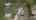 Blurred preview of media: DJI_20260427142213_0149_D-Edit