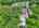 Blurred preview of media: DJI_20260613115510_0794_D_5_D_6_D_easyHDR