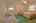 Blurred preview of media: IMG_6557_8_9