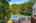 Blurred preview of media: Nerine_015