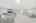 Blurred preview of media: 2bobwhite_017