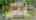Blurred preview of media: Unknown media