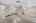 Blurred preview of media: 8815 Brosnon Lane-14