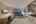 Blurred preview of media: Elara Unit 2505-216