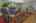 Blurred preview of media: 09
