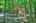 Blurred preview of media: IMG_0577_8_9_easyHDR