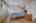 Blurred preview of media: 21