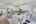 Blurred preview of media: 013
