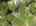 Blurred preview of media: 198 Borden Rd (1)