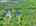 Blurred preview of media: DJI_20260527104851_0137_D_8_D_9_D_easyHDR
