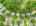 Blurred preview of media: 1-726-2
