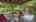 Blurred preview of media: IMG_9711