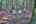 Blurred preview of media: 9zy