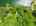 Blurred preview of media: 2-726-0037