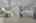 Blurred preview of media: DSC00672