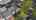 Blurred preview of media: 062