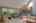 Blurred preview of media: 260141-5