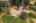 Blurred preview of media: 10