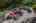 Blurred preview of media: 14_Baltusrol_Ter_0053