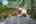 Blurred preview of media: PAX_2109