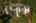 Blurred preview of media: Aerial 21