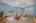Blurred preview of media: 36 Staged