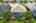 Blurred preview of media: iPixx_10_24