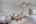 Blurred preview of media: 006