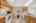 Blurred preview of media: 2-926-1721