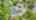 Blurred preview of media: DJI_20261001114302_0805_D