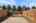 Blurred preview of media: 1-24